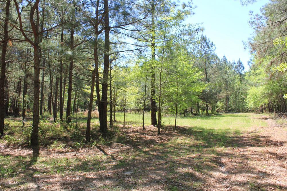 1291 Marion Church Road Salters, SC 29590 - Photo 57 of 61 57