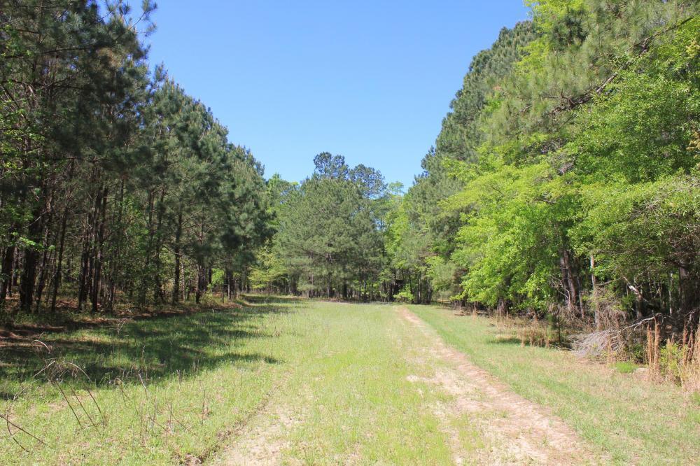 1291 Marion Church Road Salters, SC 29590 - Photo 58 of 61 58