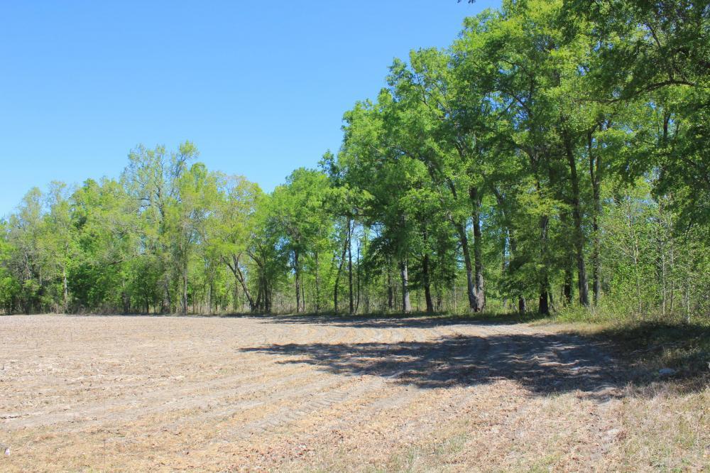 1291 Marion Church Road Salters, SC 29590 - Photo 59 of 61 59