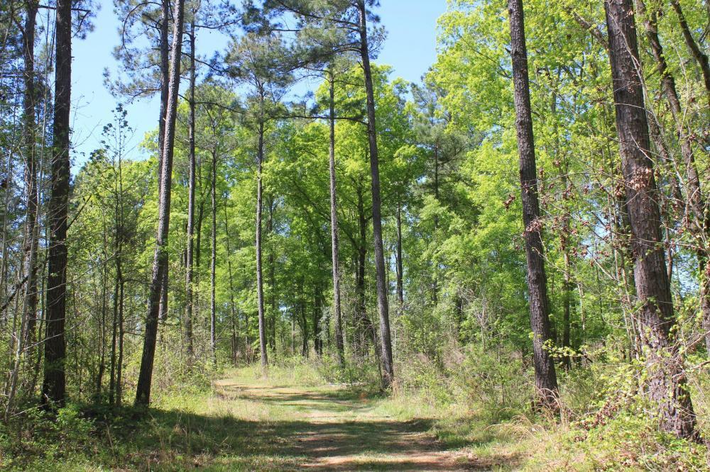 1291 Marion Church Road Salters, SC 29590 - Photo 61 of 61 61
