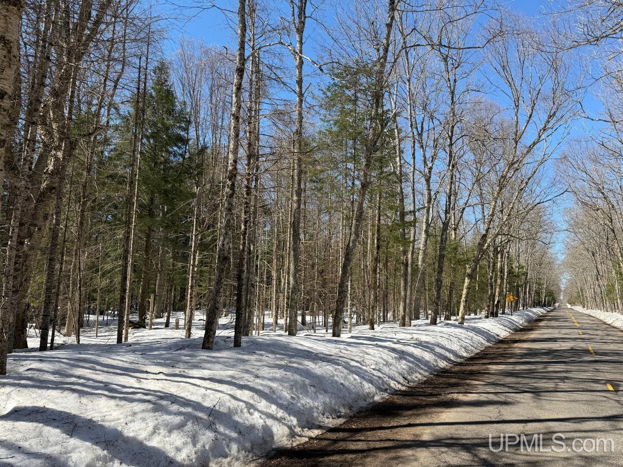 40-acres Dukes Road Skandia, MI 49885 - Photo 2 of 24