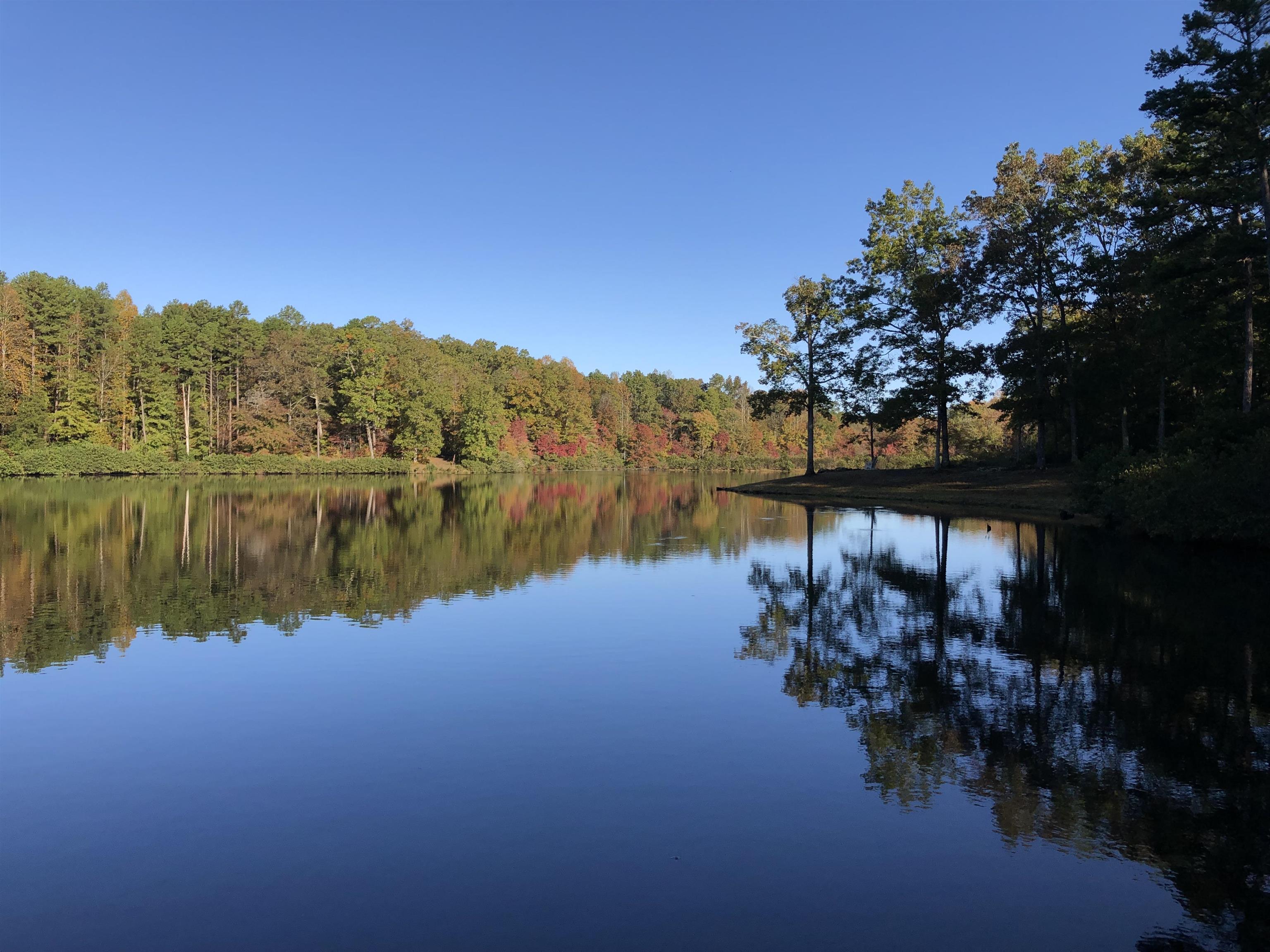2275 Cypress Road Pocahontas, TN 38061 - Photo 13 of 34 Water view with a heavily wooded area