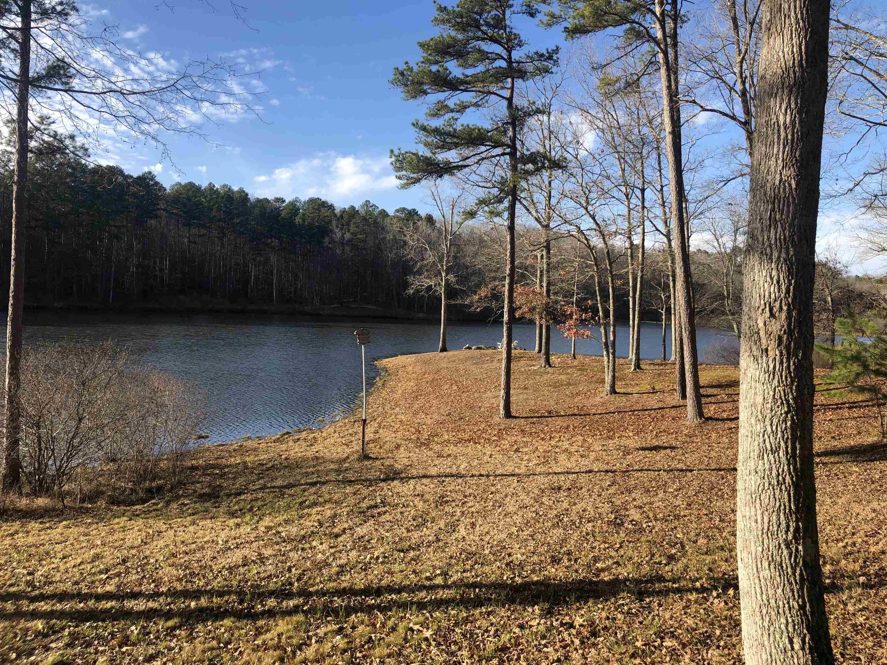 2275 Cypress Road Pocahontas, TN 38061 - Photo 14 of 34 Water view featuring a heavily wooded area