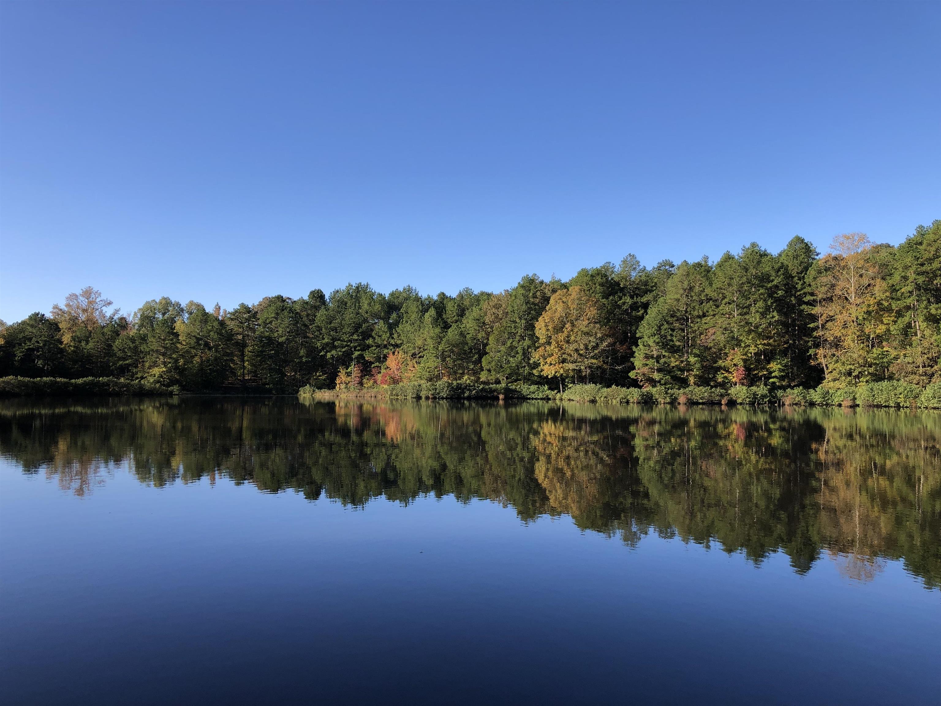 Water view featuring a heavily wooded area