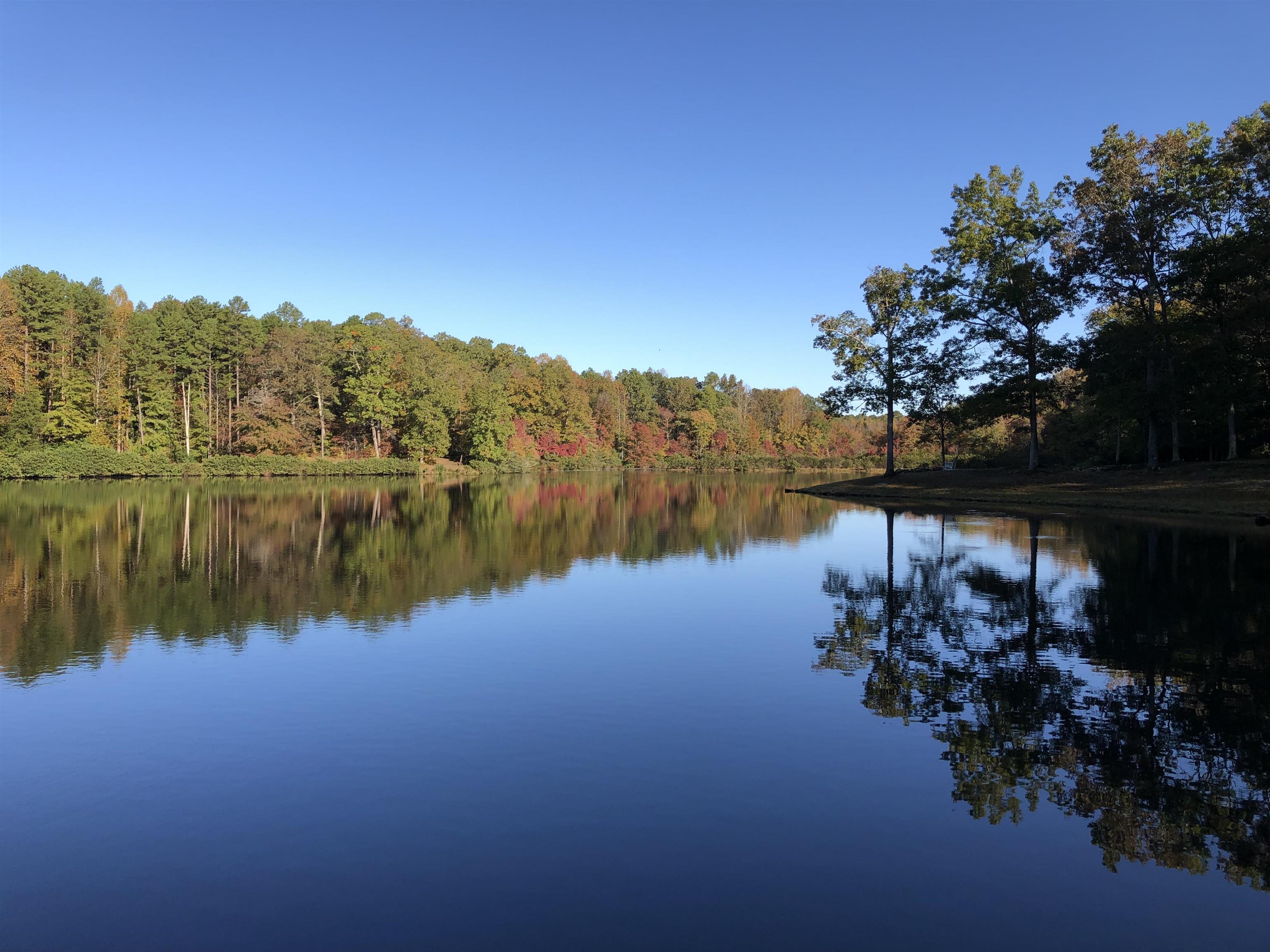 Water view featuring a forest