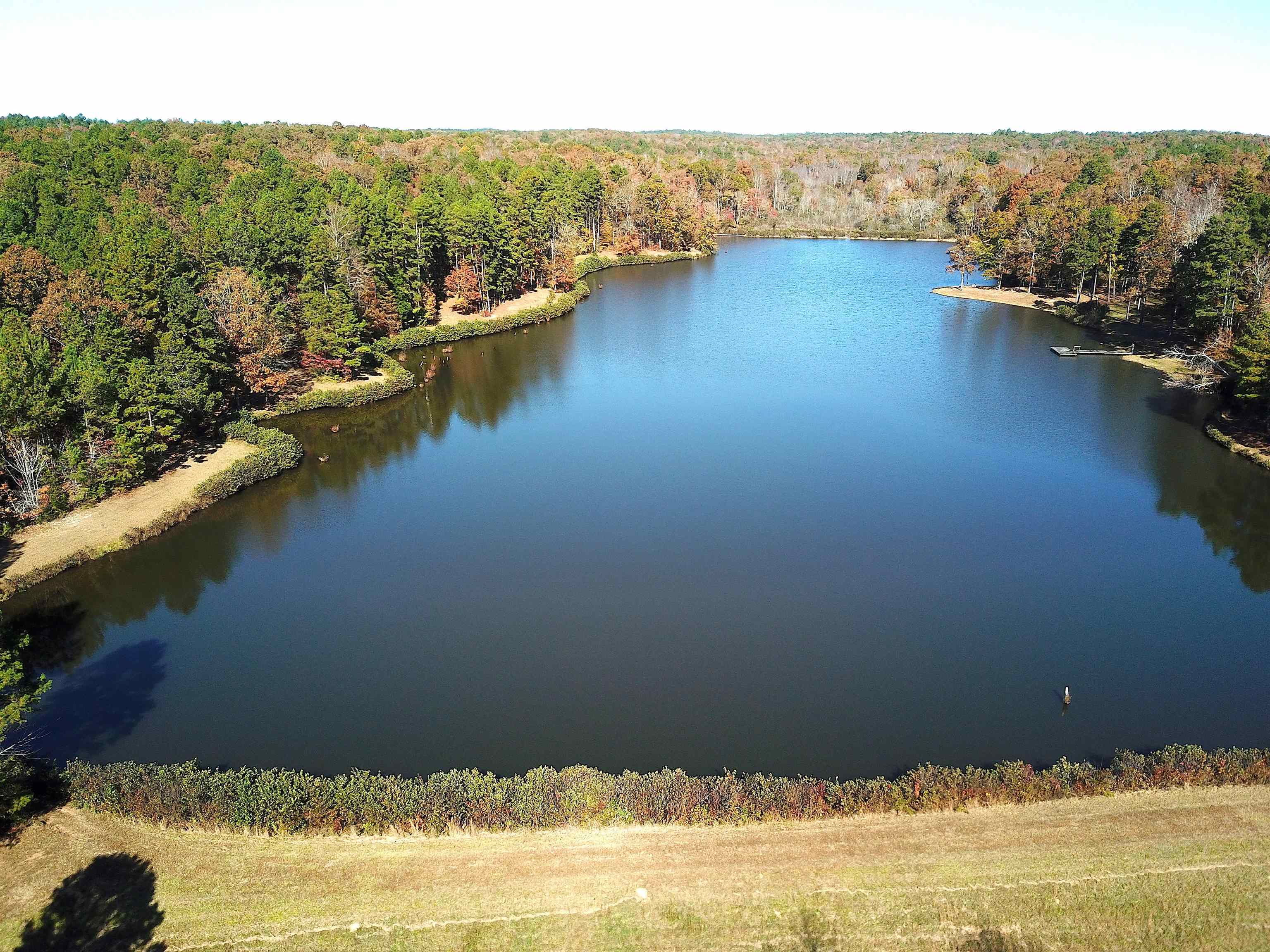 2275 Cypress Road Pocahontas, TN 38061 - Photo 8 of 34 Aerial view of a heavily wooded area and a large body of water