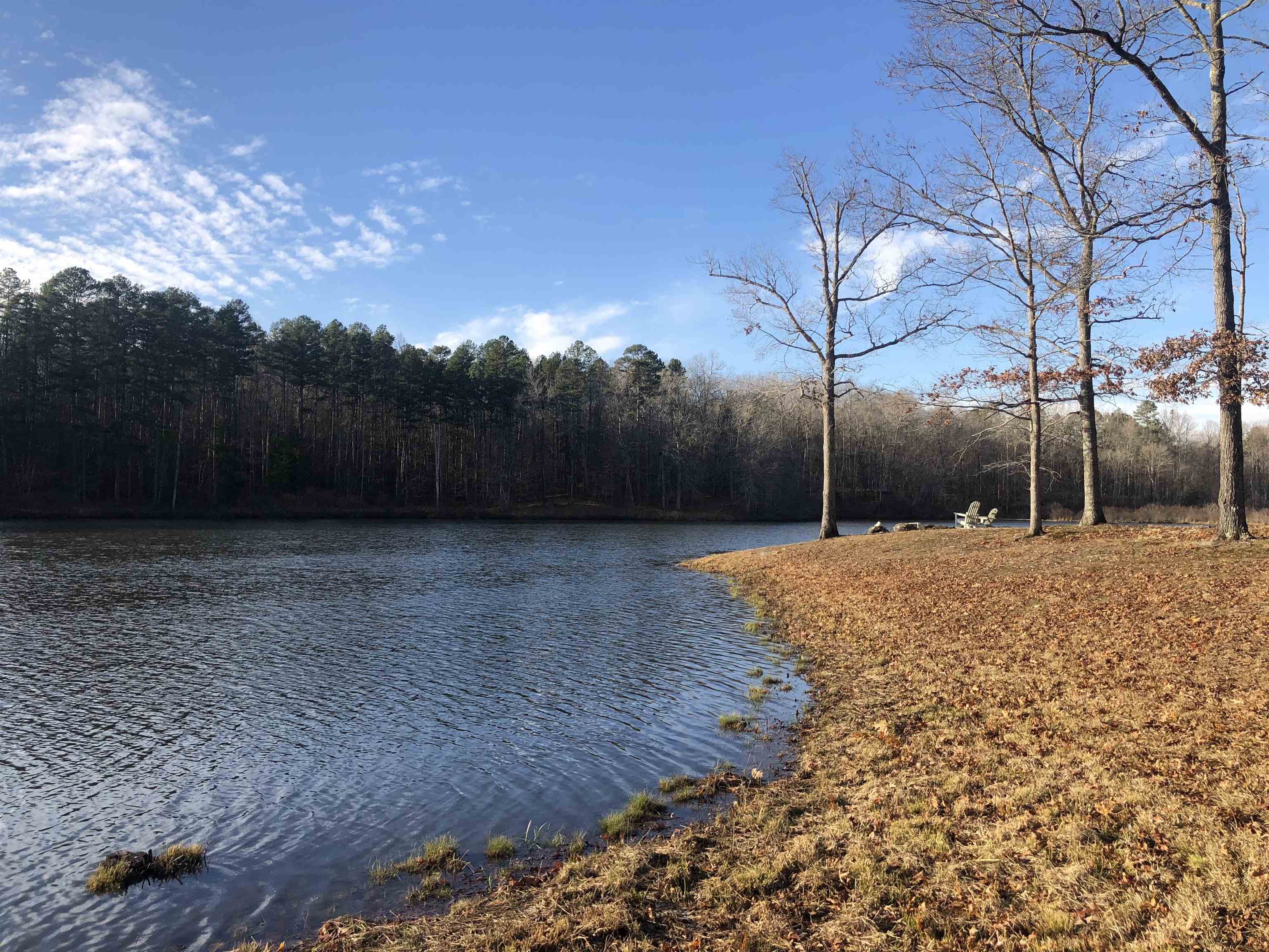 2275 Cypress Road Pocahontas, TN 38061 - Photo 10 of 34 Water view featuring a forest