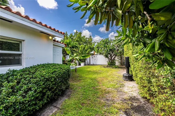 a view of a yard with plants