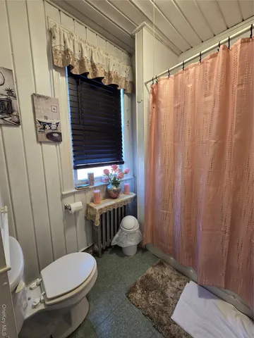 a bathroom with a toilet and shower curtain