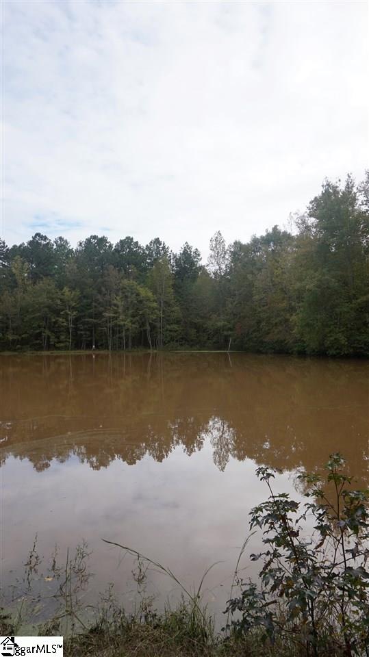 141 Tall Pines Road Fountain Inn, SC 29644 - Photo 14 of 19