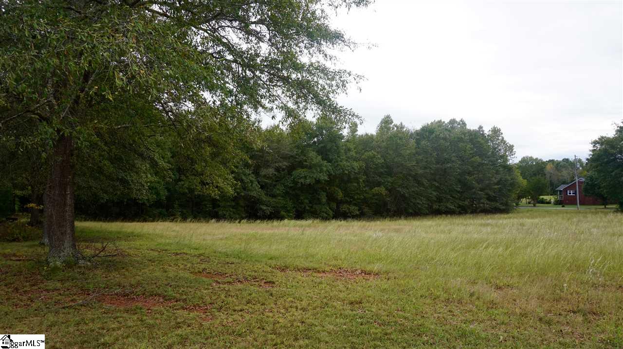 141 Tall Pines Road Fountain Inn, SC 29644 - Photo 3 of 19