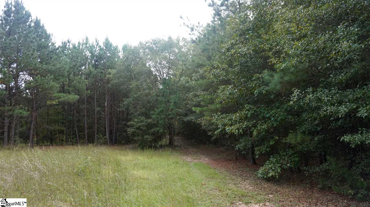 141 Tall Pines Road Fountain Inn, SC 29644 - Photo 5 of 19