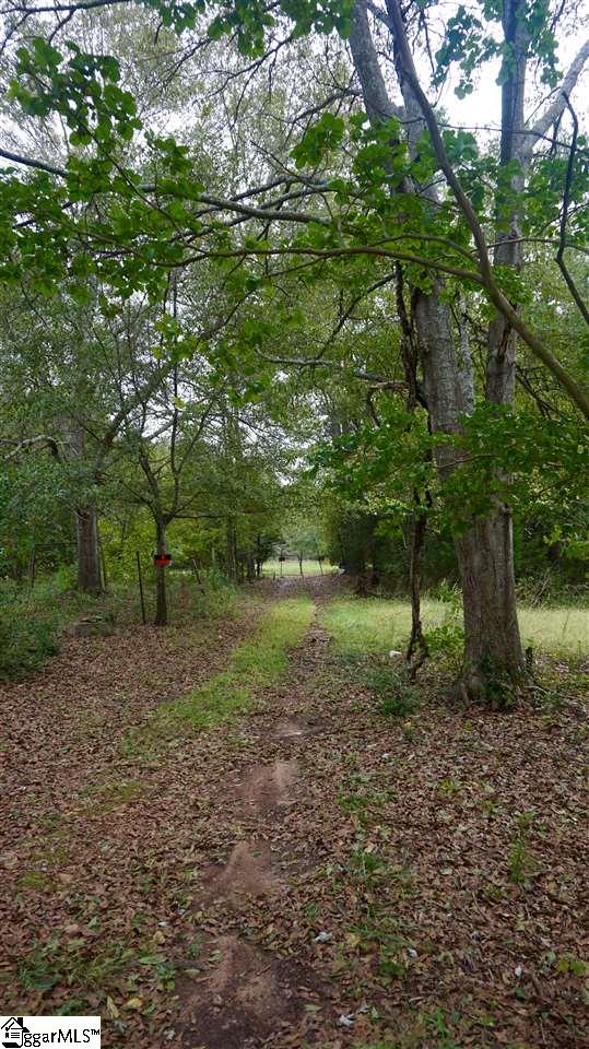 141 Tall Pines Road Fountain Inn, SC 29644 - Photo 7 of 19