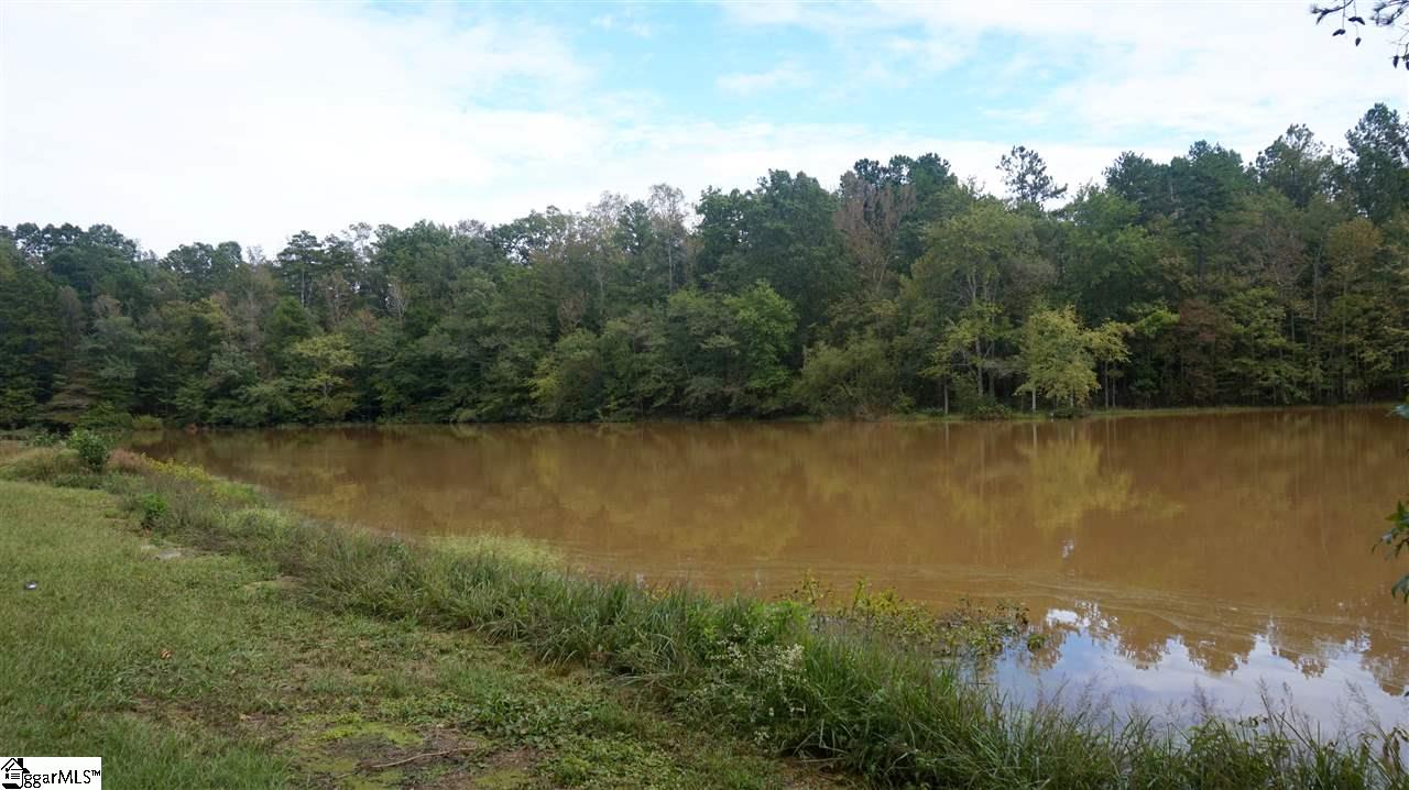 141 Tall Pines Road Fountain Inn, SC 29644 - Photo 9 of 19