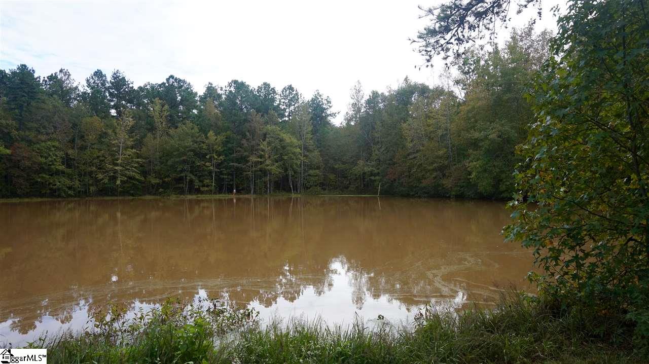 141 Tall Pines Road Fountain Inn, SC 29644 - Photo 10 of 19