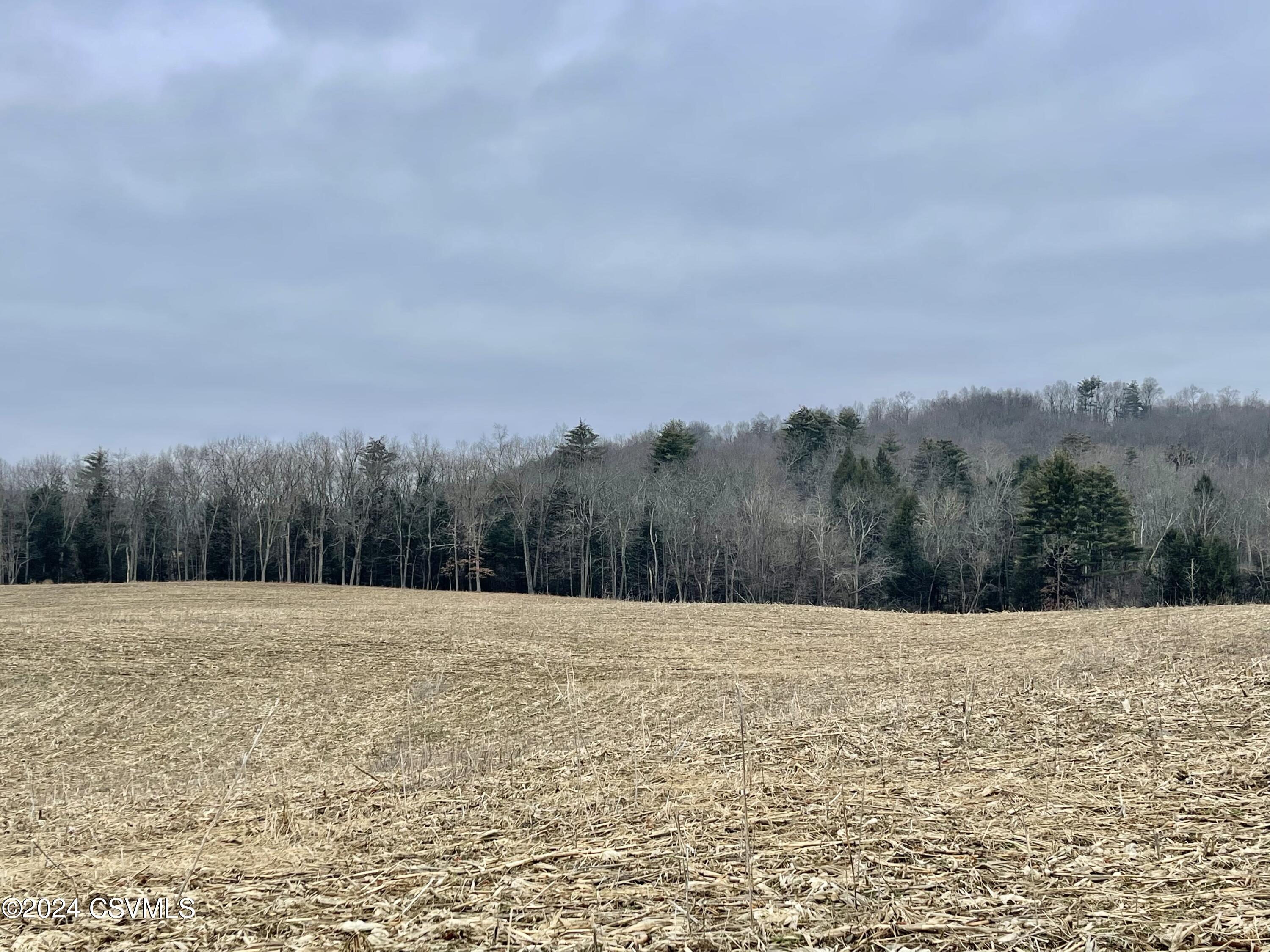 Bonnieville Road Benton, PA 17814 - Photo 2 of 4