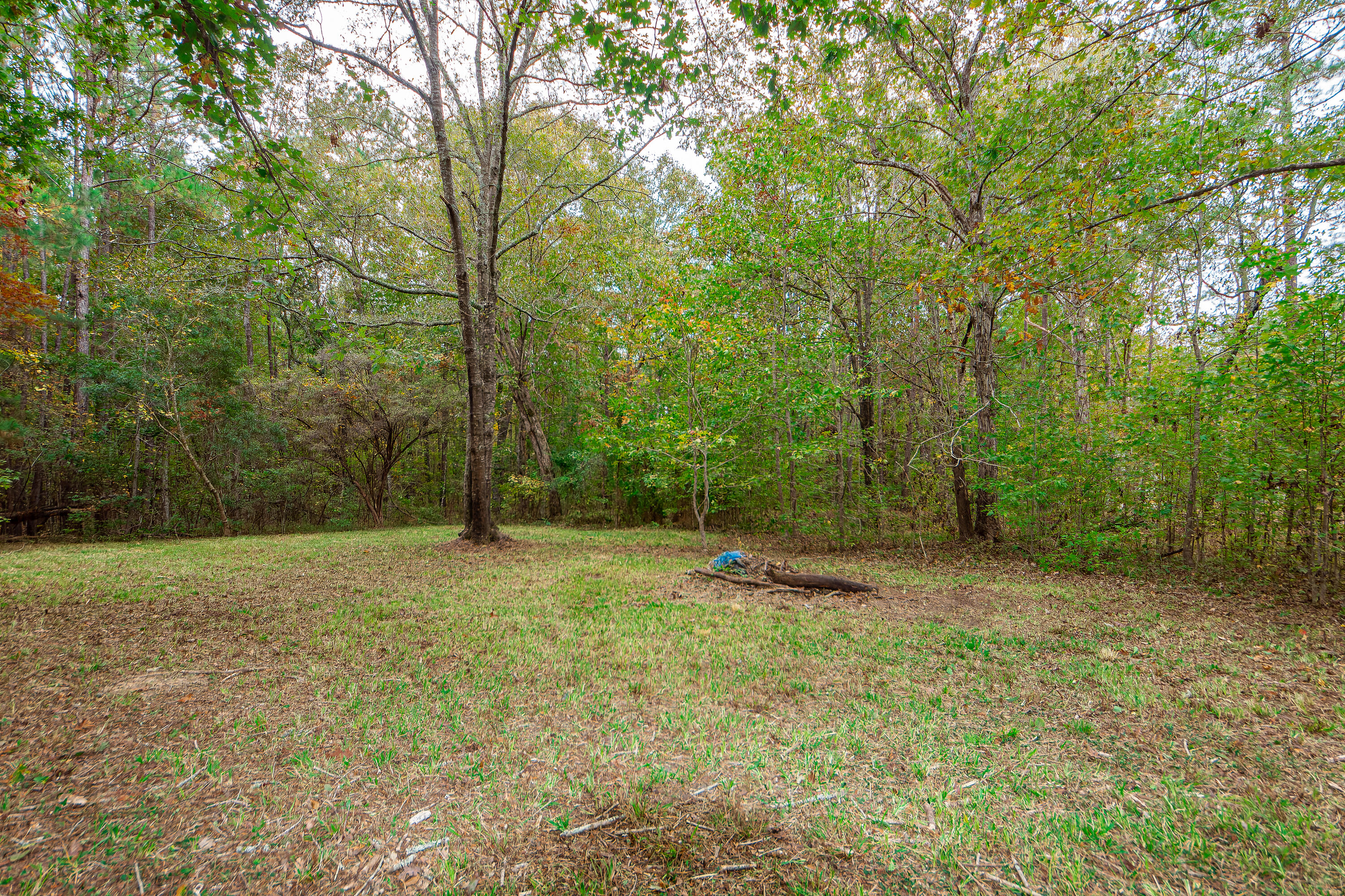 501 County Rd S-18-57 Summerville, SC 29483 - Photo 12 of 21 12