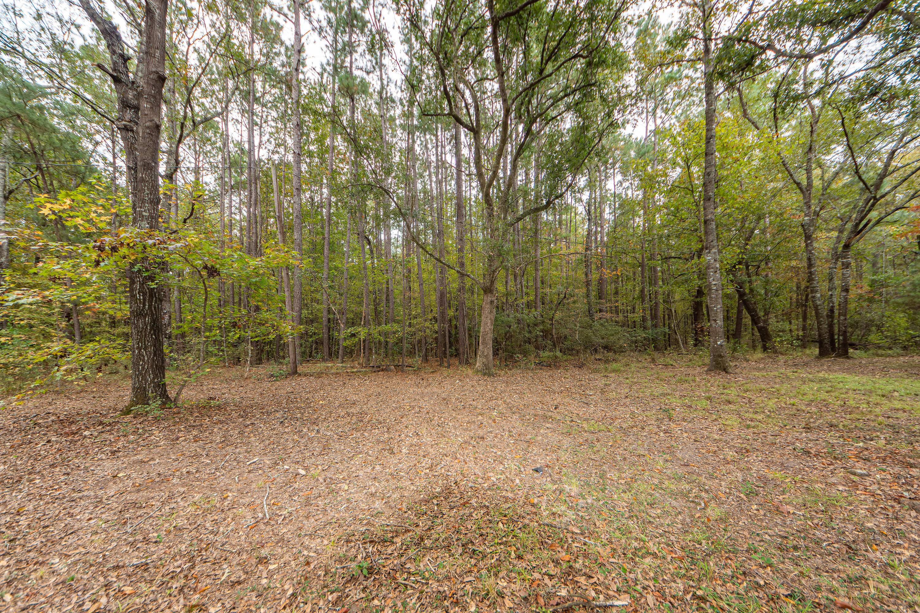 501 County Rd S-18-57 Summerville, SC 29483 - Photo 17 of 21 17