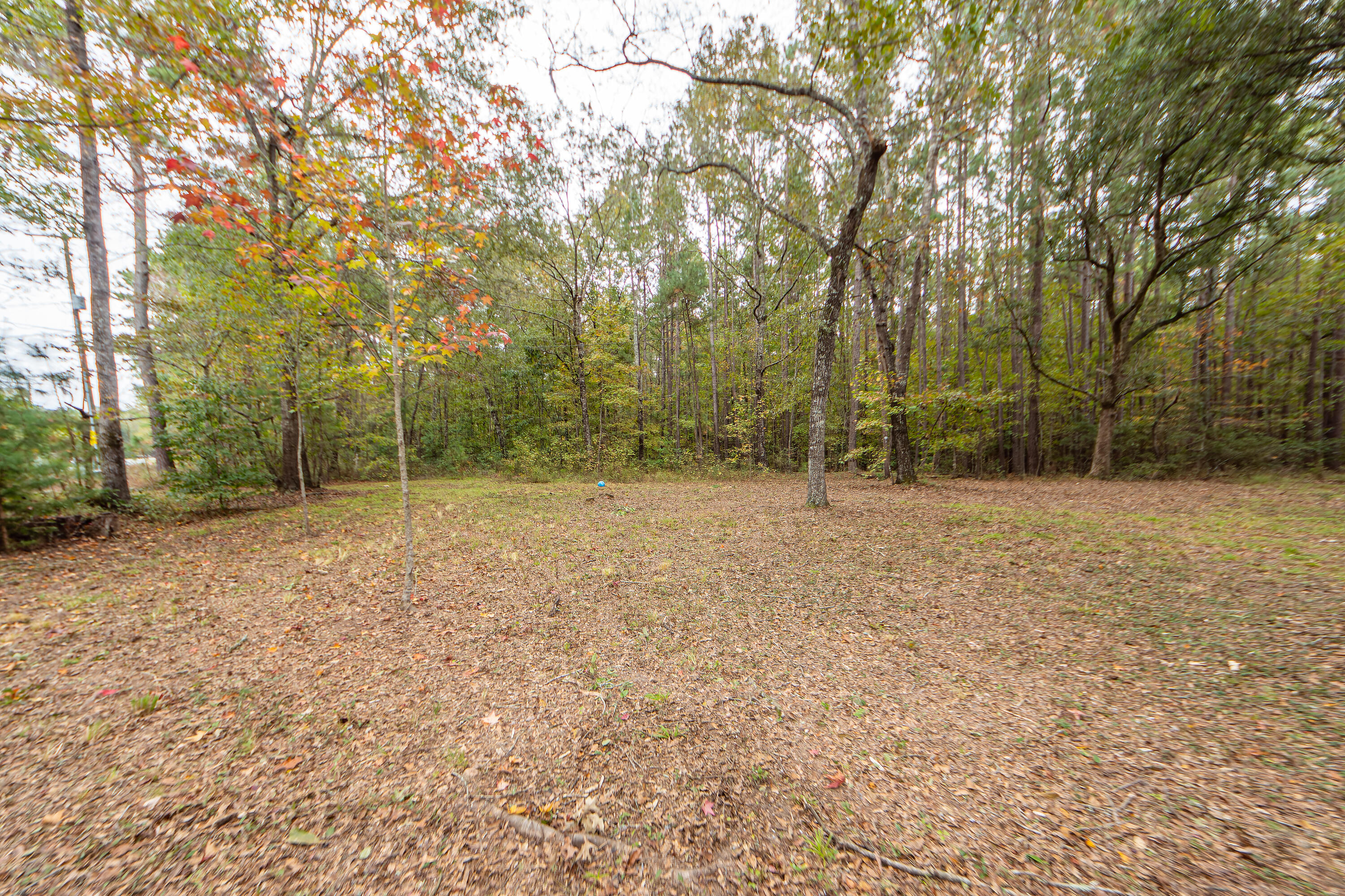 501 County Rd S-18-57 Summerville, SC 29483 - Photo 18 of 21 18