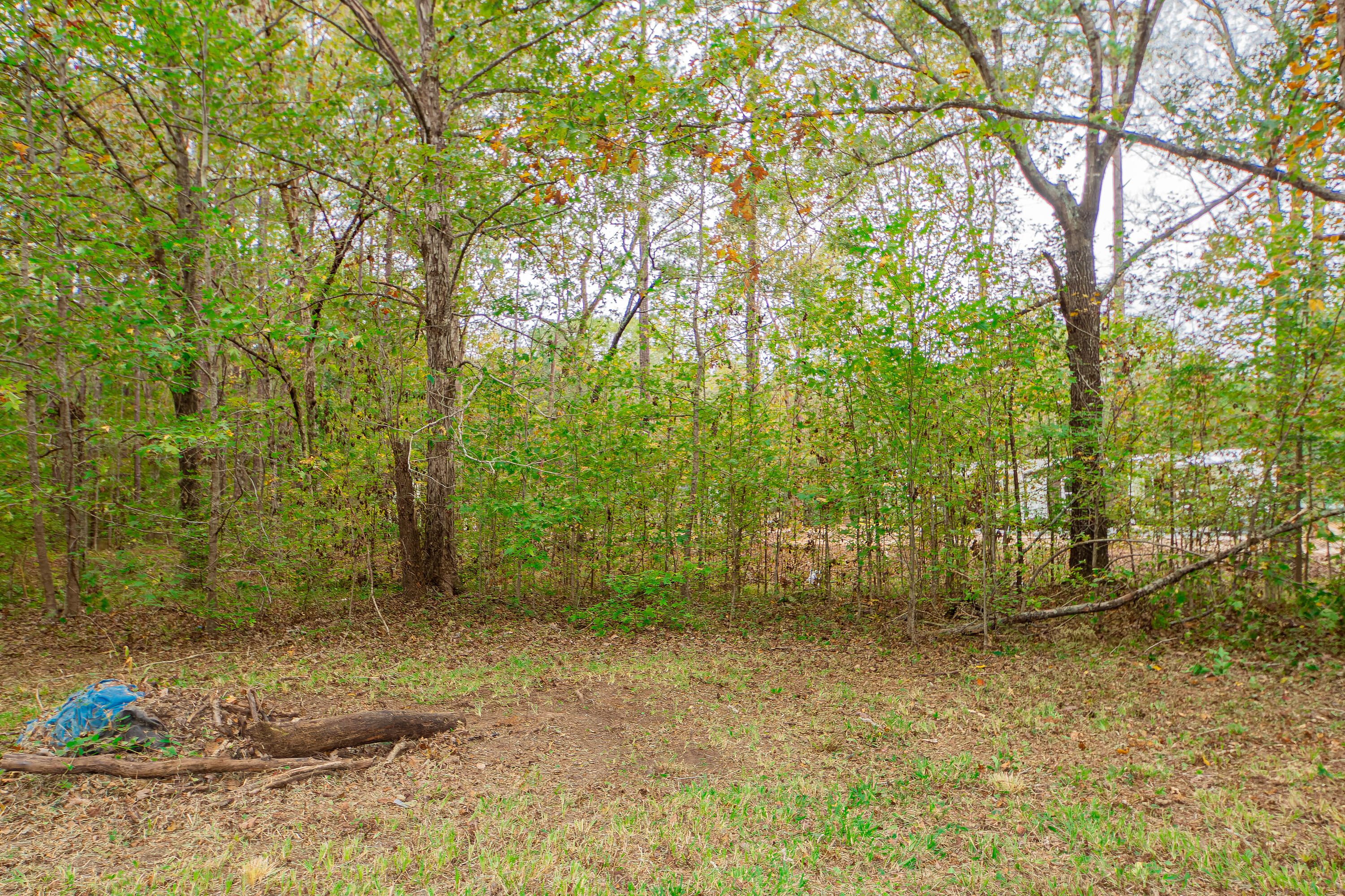 501 County Rd S-18-57 Summerville, SC 29483 - Photo 10 of 21 10