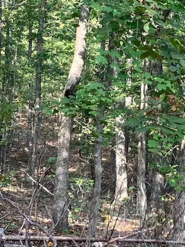 $39,995 | 174 Madison Cr, Fredericktown, MO 63645