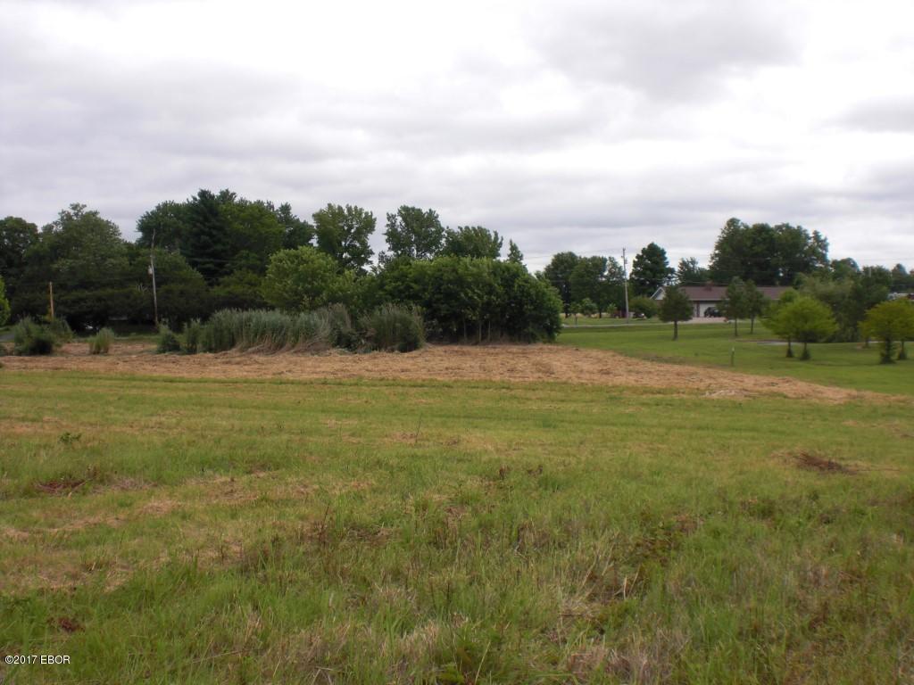 2 East Stotlar Road Herrin, IL 62948 - Photo 4 of 6