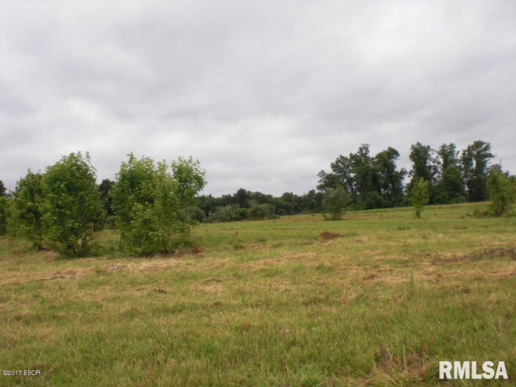 2 East Stotlar Road Herrin, IL 62948 - Photo 5 of 6