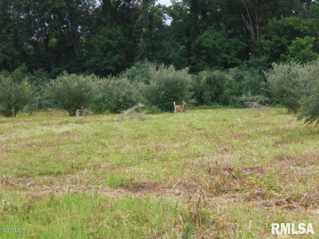 2 East Stotlar Road Herrin, IL 62948 - Photo 6 of 6