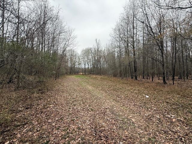 79 Highway 70 Stanton, TN 38069 - Photo 11 of 17