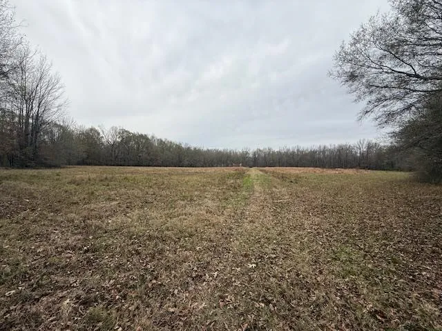 a view of lake with green field