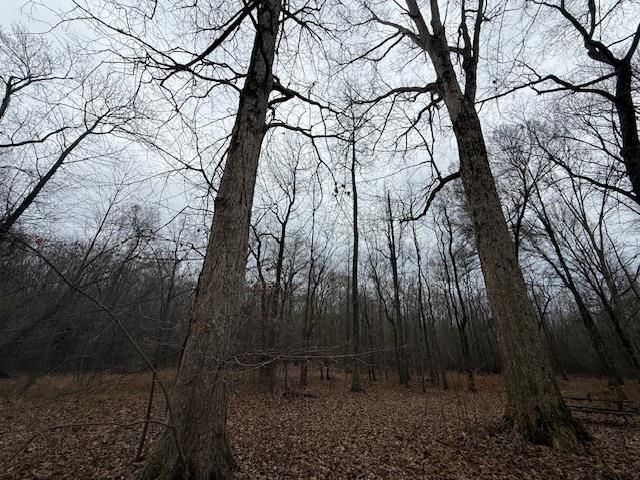 79 Highway 70 Stanton, TN 38069 - Photo 2 of 17
