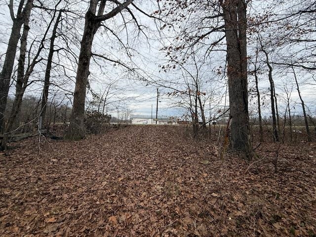 79 Highway 70 Stanton, TN 38069 - Photo 3 of 17