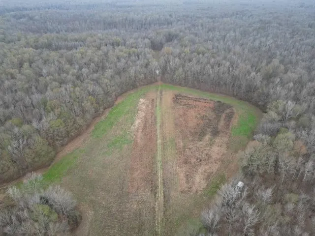 a view of a dry yard