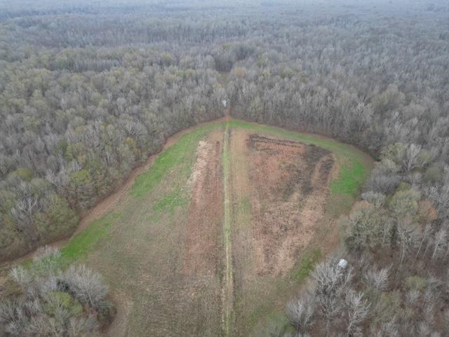 79 Highway 70 Stanton, TN 38069 - Photo 5 of 17