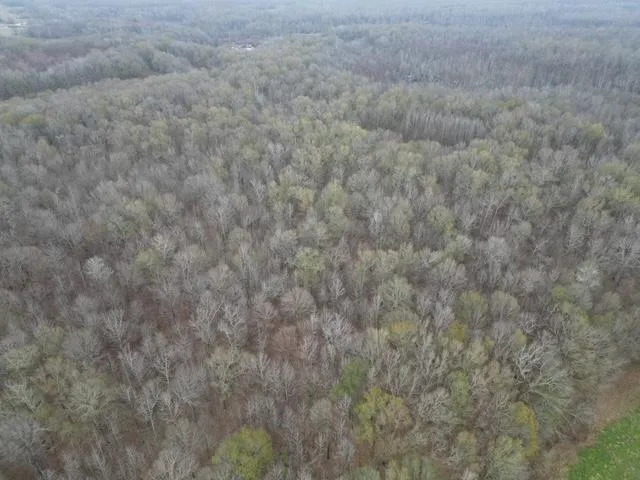 a close up of a white marble wall