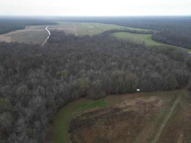 79 Highway 70 Stanton, TN 38069 - Photo 7 of 17