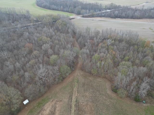 79 Highway 70 Stanton, TN 38069 - Photo 8 of 17