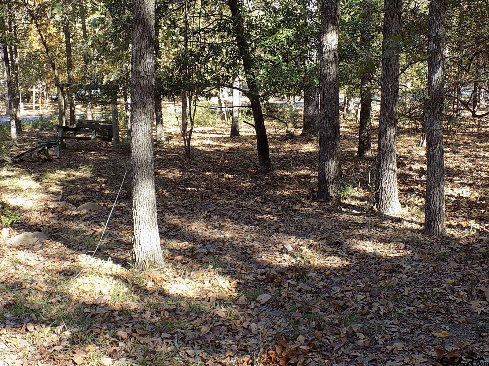 111 Laurel Lane Holly Lake Ranch, TX 75765 - Photo 31 of 43