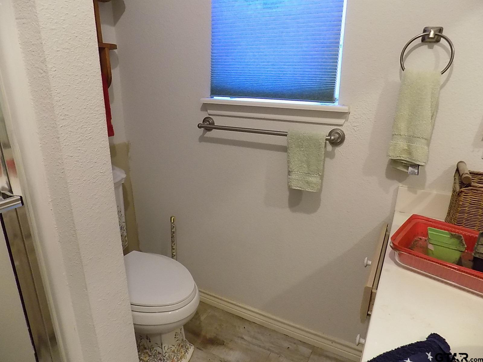 111 Laurel Lane Holly Lake Ranch, TX 75765 - Photo 42 of 43