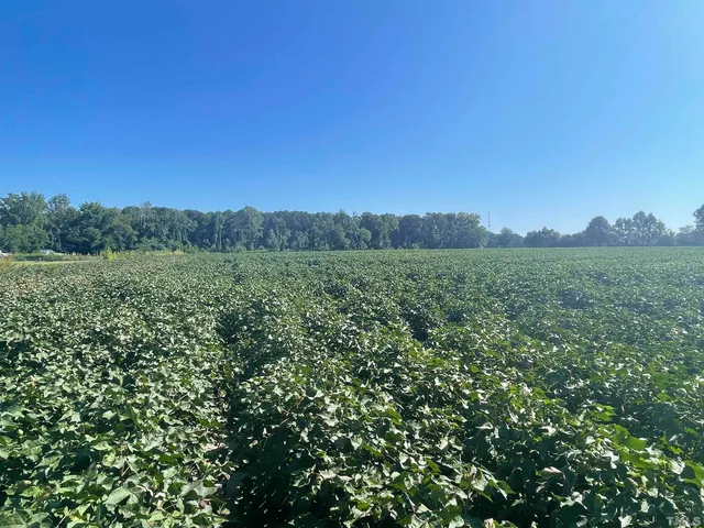 $175,000 | 0 Davis Street, Fremont, NC 27830