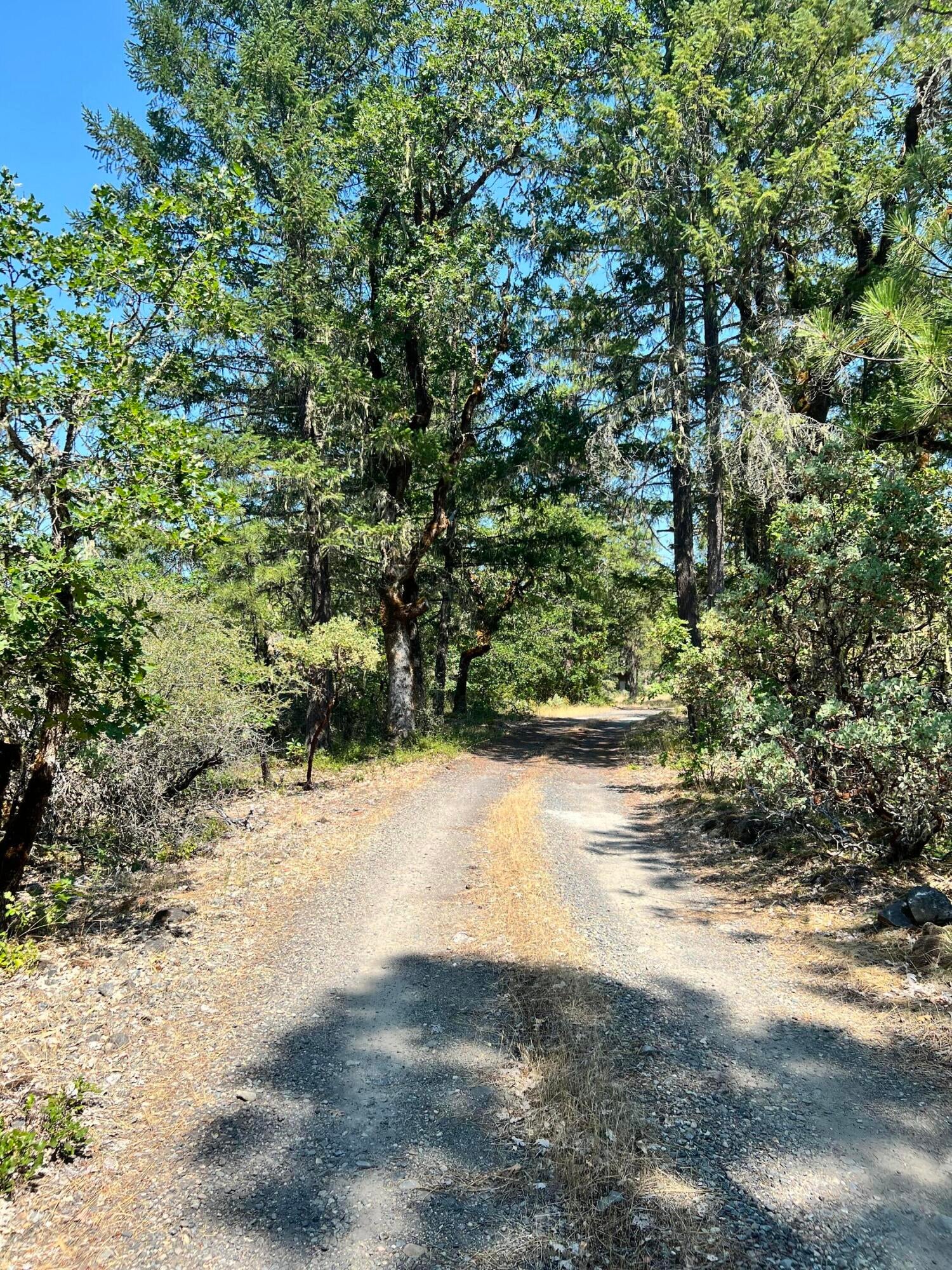 6629 Rockydale Road Cave Junction, OR 97523 - Photo 37 of 38 24-driveway