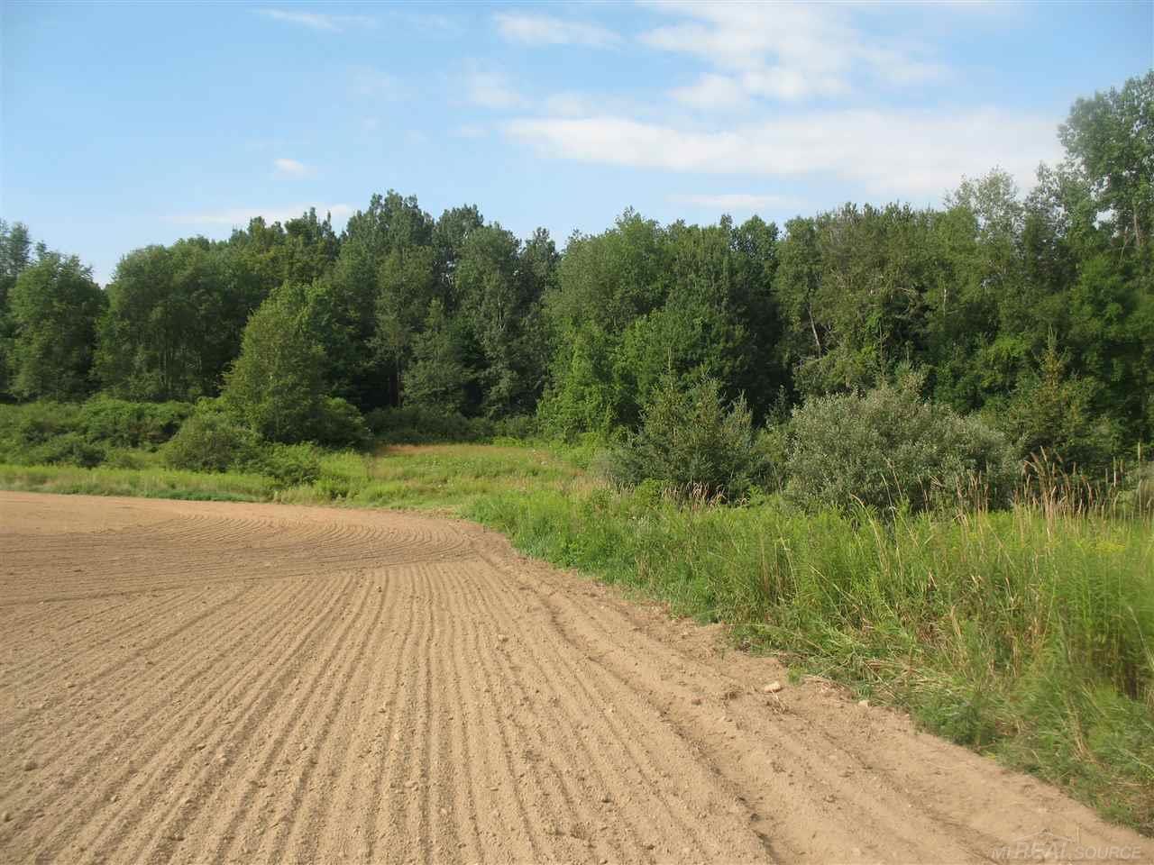 375 Charleston Road Ubly, MI 48475 - Photo 53 of 67