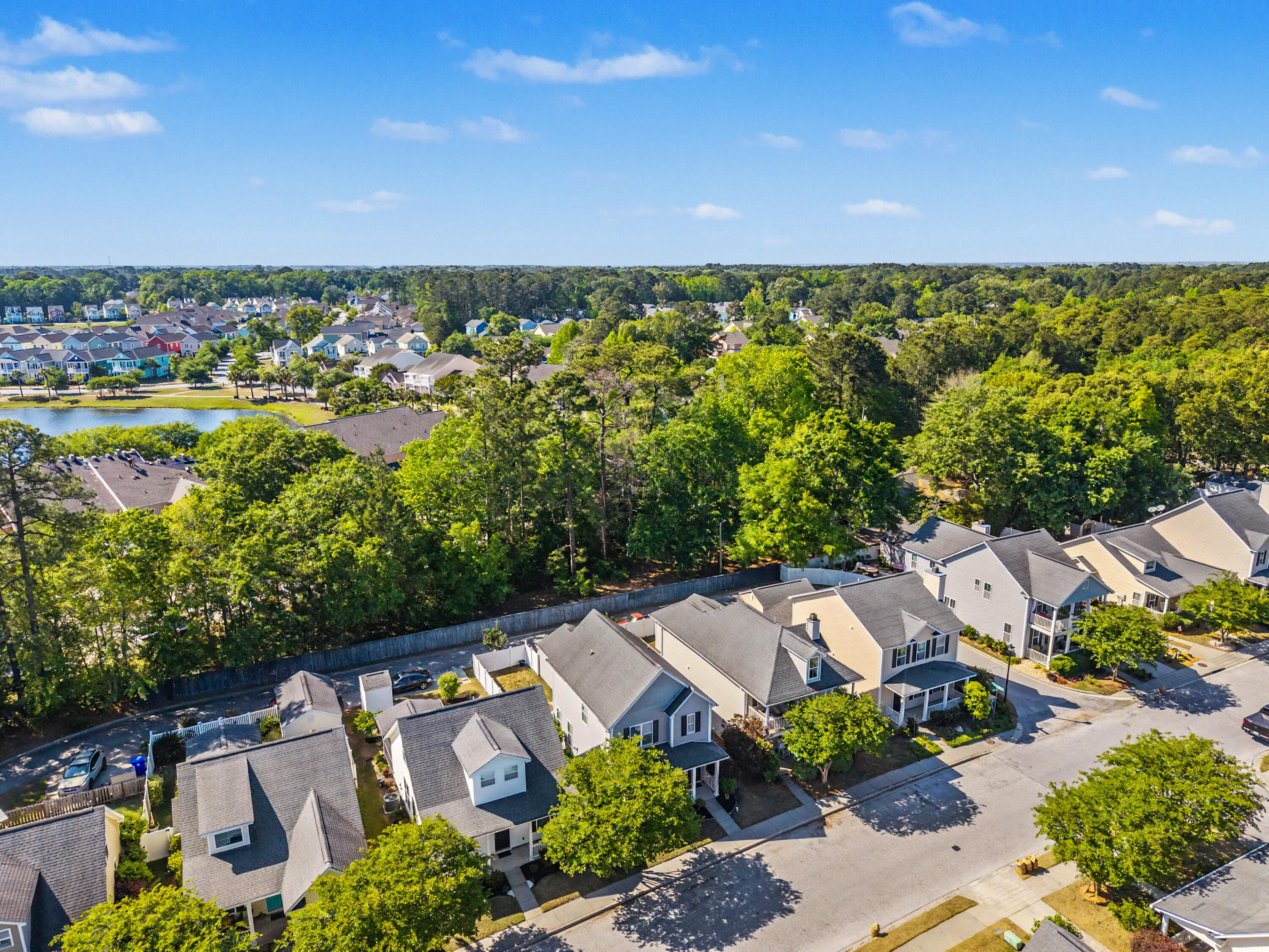 1755 Bee Balm Road Johns Island, SC 29455 - Photo 46 of 60 1755 Bee Balm, Aerial of Neighborhood 6