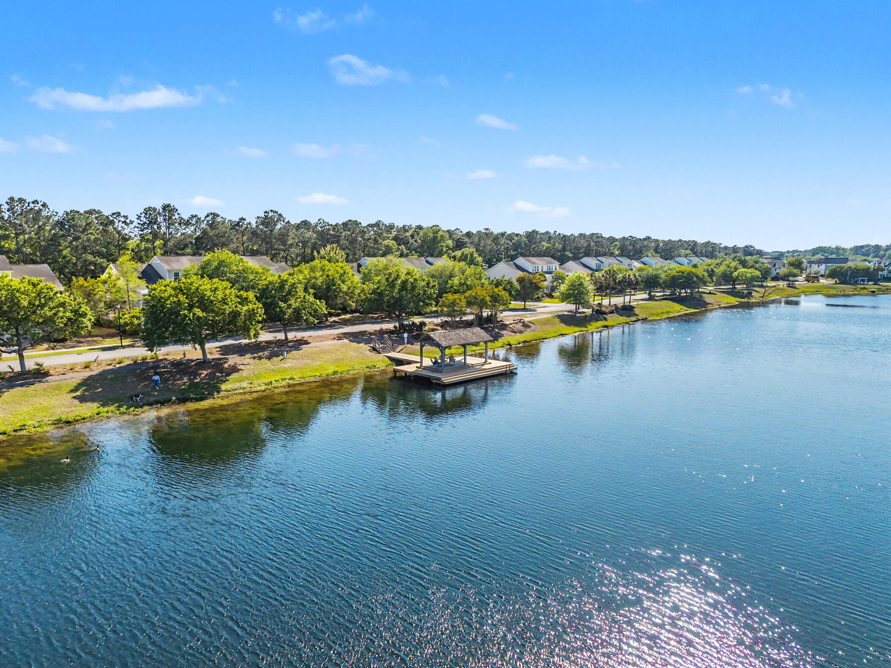 1755 Bee Balm Road Johns Island, SC 29455 - Photo 54 of 60 1755 Bee Balm, Lake