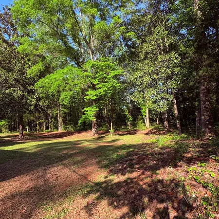 a view of outdoor space with green space