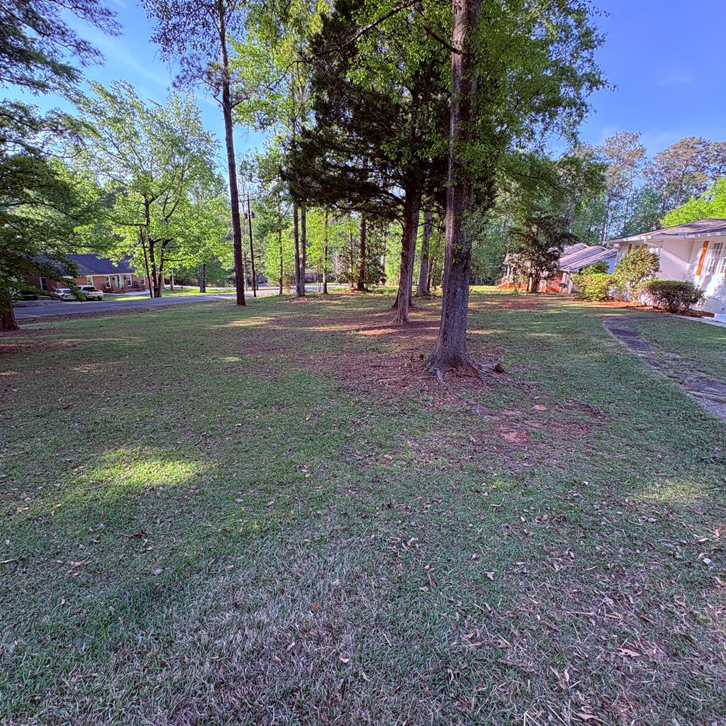 2502 13th Avenue Valley, AL 36854 - Photo 42 of 48