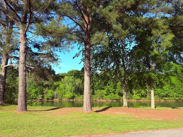 a view of a big building with a big yard