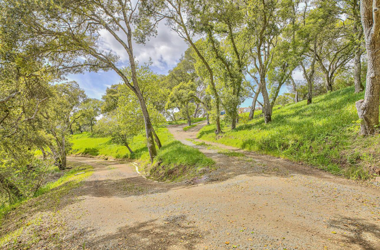 420 Yellowbrick Road Watsonville, CA 95076 - Photo 22 of 23 a view of a yard with plants and trees