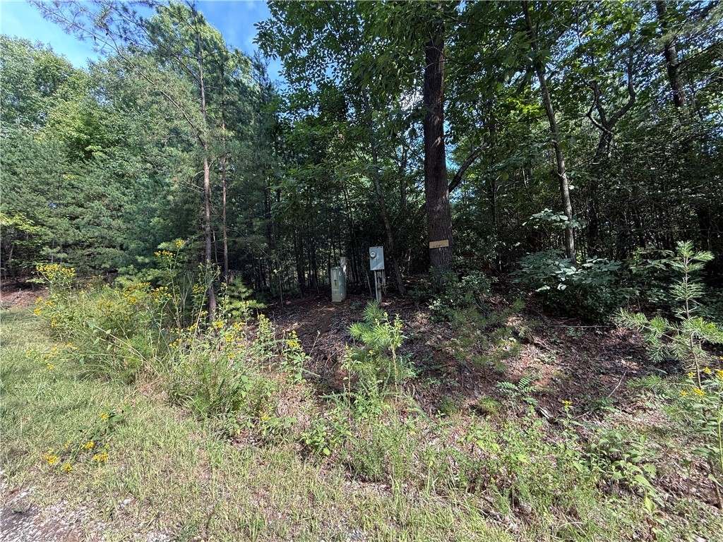 Lot 24 Wolf Pen Road Purlear, NC 28665 - Photo 2 of 42 Gallery Image 2