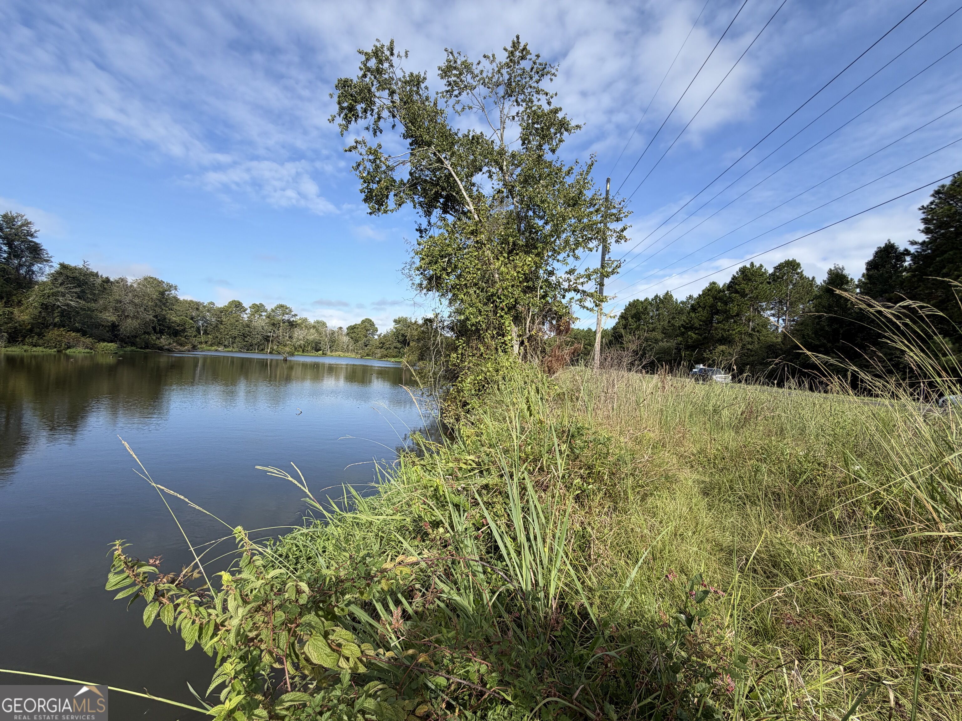 43.5-acres Cemetery Road Rochelle, GA 31079 - Photo 15 of 19 Gallery Image 15